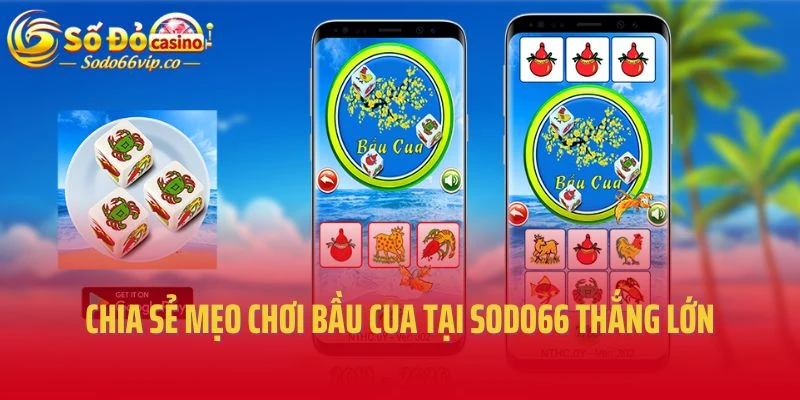 Chia sẻ mẹo chơi bầu cua tại Sodo66 thắng lớn