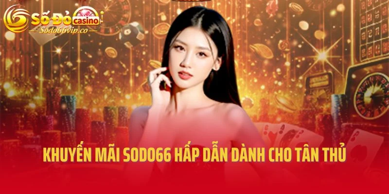 Khuyến mãi Sodo66 hấp dẫn dành cho tân thủ