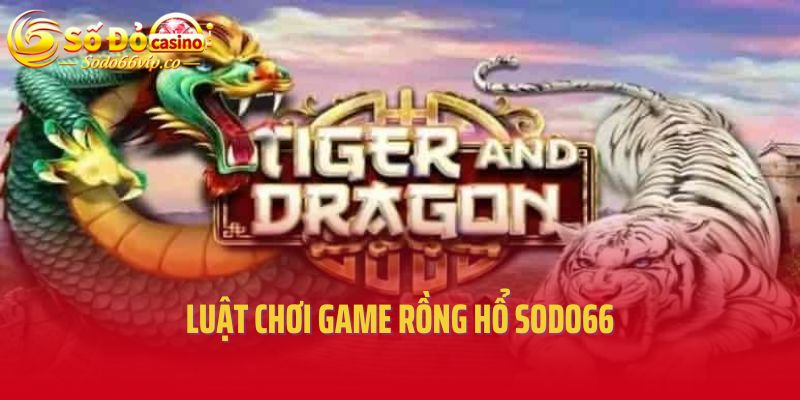 Luật chơi chi tiết của game bài rồng hổ Sodo66