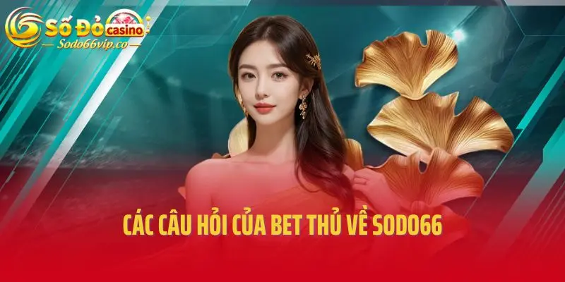 Các câu hỏi của bet thủ về SODO66